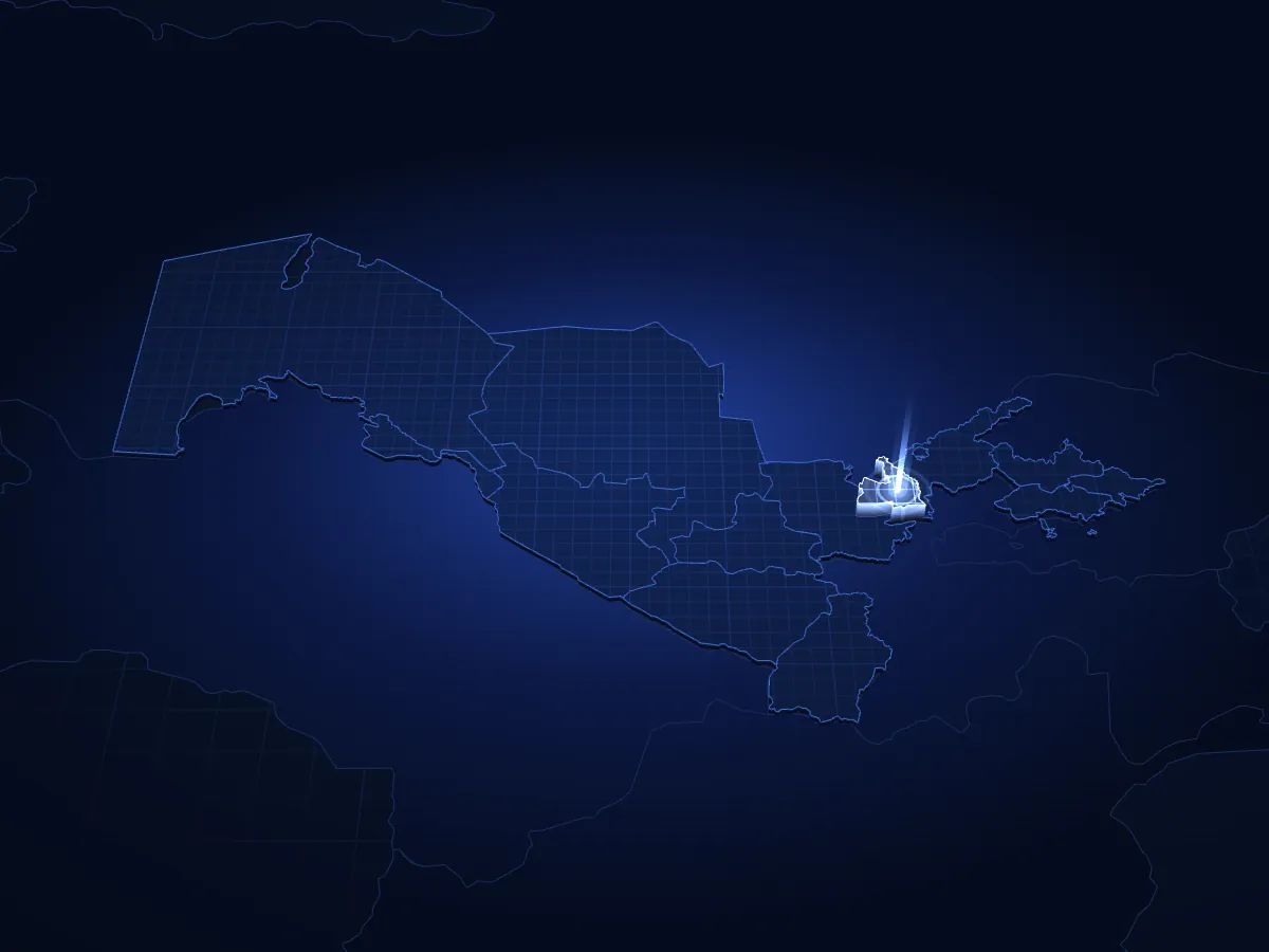 Syrdarya TPP — Pechnaya, Metallurgiya substations 220 kV line on a 3D map of Uzbekistan